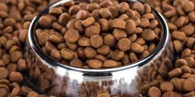 Preço pressiona, mas premiunização segue forte no mercado pet food