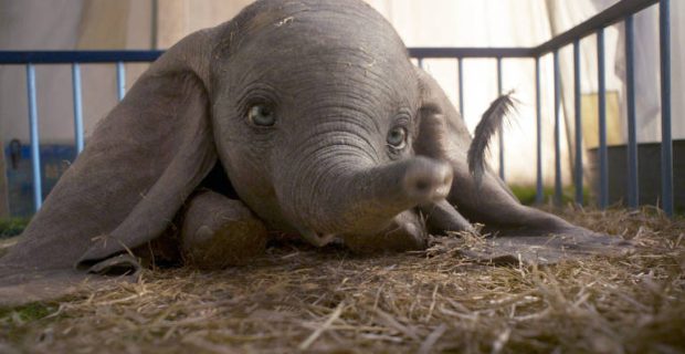dumbo-1554298867
