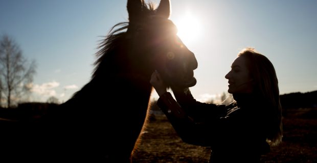 cavalo
