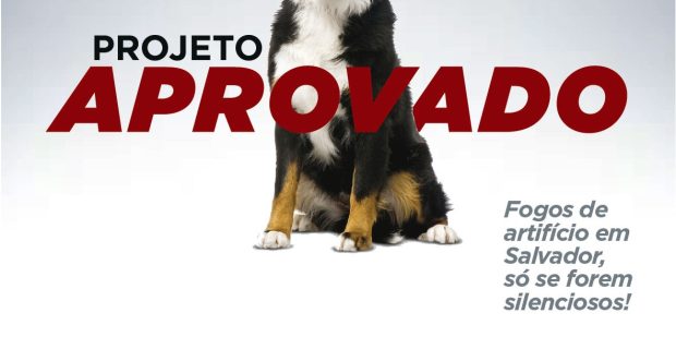 evite-fogos-projeto-aprovado-1576758038