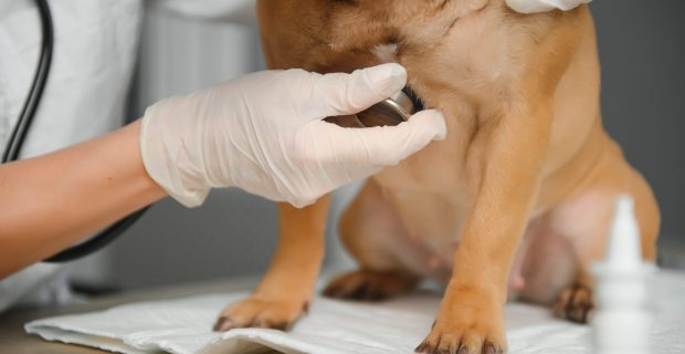exames de rotina na prevenção de doenças