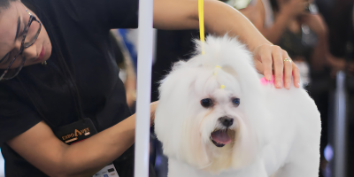 expovet