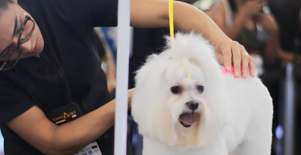 expovet