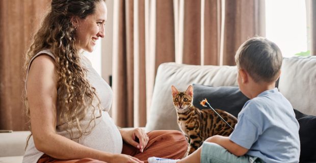 toxoplasmose