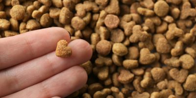 Ingredientes premium impulsionam avanço da nutrição pet