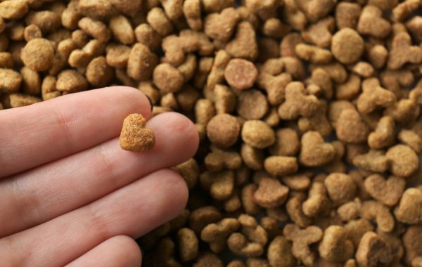 Ingredientes premium impulsionam avanço da nutrição pet