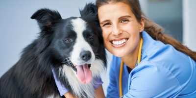 Female vet examining a dog in clinic