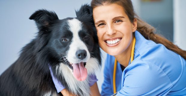 Female vet examining a dog in clinic