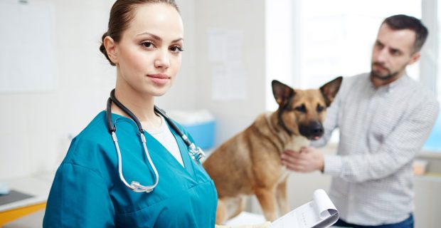 Female vet