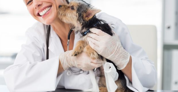 dia da medicina veterinária