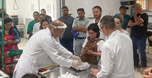 dia da raiva