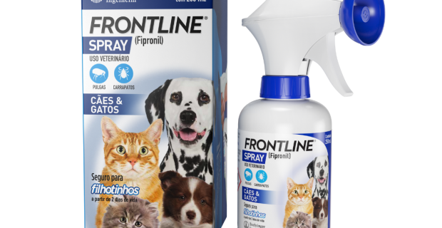 frontline