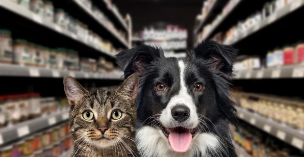 foto-setorpet