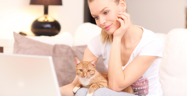 Elanco: a especialista em gatos