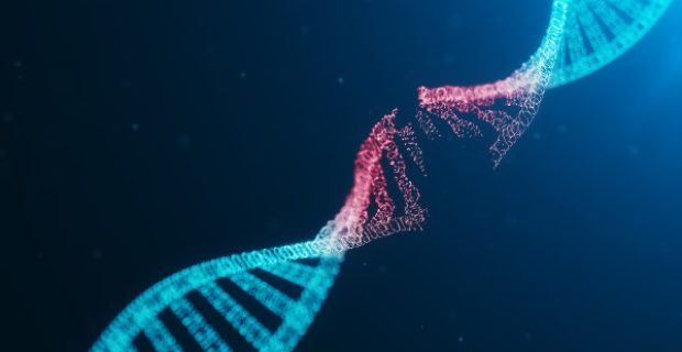 genetica