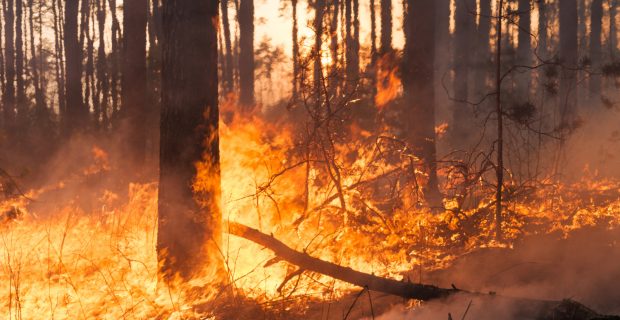 incêndio