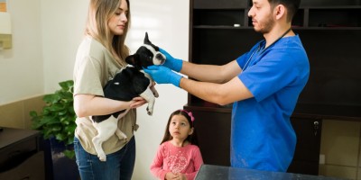 Com novas regras, atendimento veterinário domiciliar ganha padronização no país