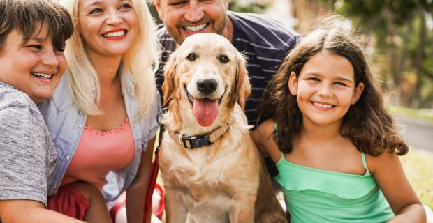 Happy family having fun with children and their dog outdoor summer time - Main focus on dog face