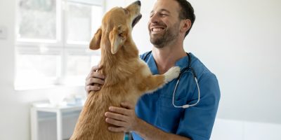 Comissão da Câmara aprova piso salarial de R$ 10 mil para médicos-veterinários e zootecnistas