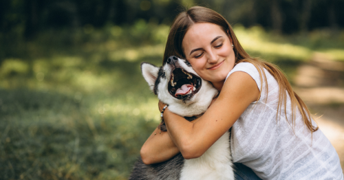 happy pet