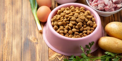 Eficiência e estratégia: caminhos para reduzir custos na produção de pet food