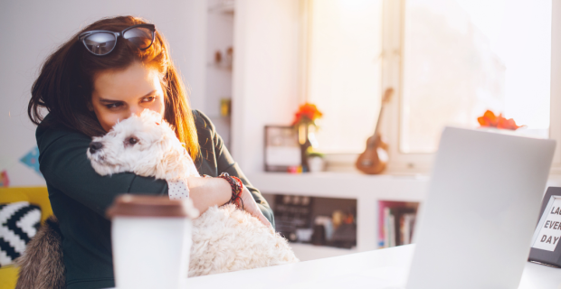 campanha Dog's Office da Pedigree