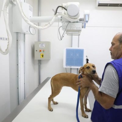 Prefeitura inaugura Hospital Veterin rio de Santa Cruz para