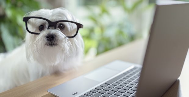 iStock-1049887368