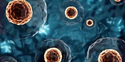 Terapia com células-tronco pode se tornar tratamento padrão na Medicina Veterinária na próxima década