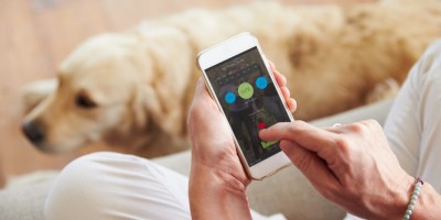 Interesse por tecnologia cresce entre responsáveis por pets