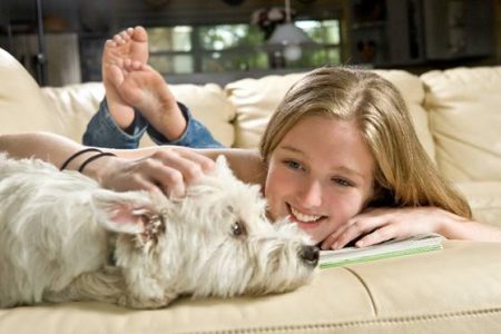 Pets possuem poder de ajudar a saúde emocional e o bem-estar das pessoas