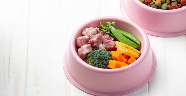 comida caseira pet