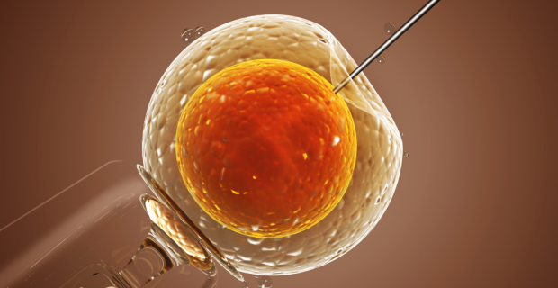 Inseminação artificial