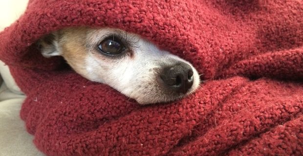 cuidados frio