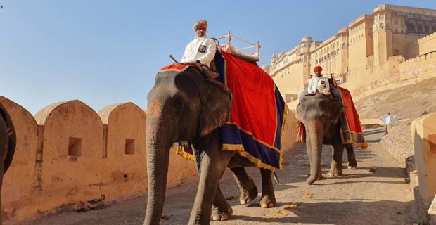 jaipur-india-rajastao-2