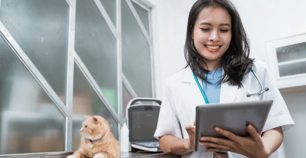 veterinária