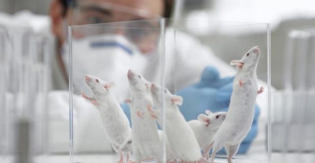 laboratorio