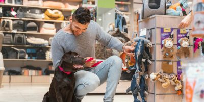 Pequenos negócios do mercado pet crescem 22% nos últimos dois anos