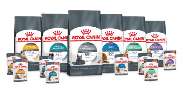 linha royal canin felinos