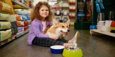 E-commerce impulsiona crescimento do pet food na América Latina