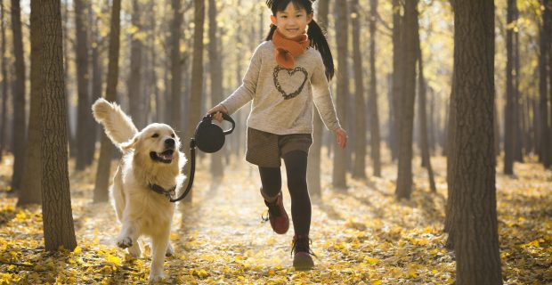Little girl running with dog in autumn woods