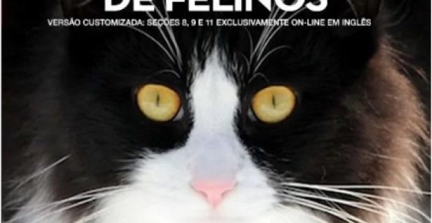 livro felinos