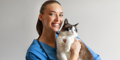 medica veterinaria