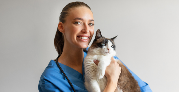 medica veterinaria