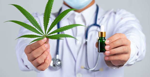 cannabis