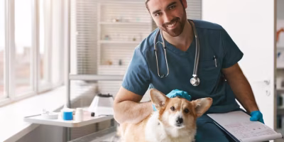 Estudo revela panorama da saúde mental de médicos-veterinários no Brasil