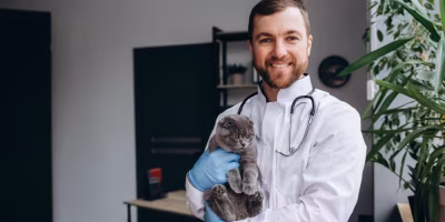 Senado federal aprova Caixa de Assistência para veterinários