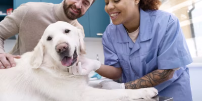 Pós-graduação ou residência: qual alternativa escolher em 2026?