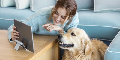 Marketing de pet food exige equilíbrio entre ciência, transparência e conexão emocional
