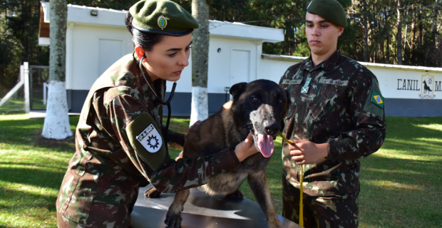 foto-exercito